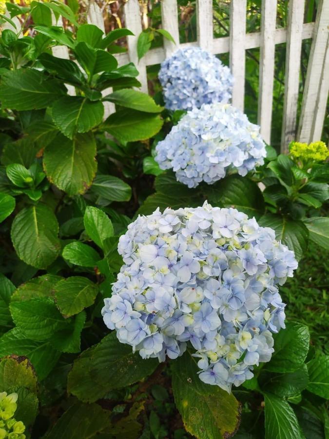 Recanto Das Flores Сан-Томе-дас-Летрас Экстерьер фото