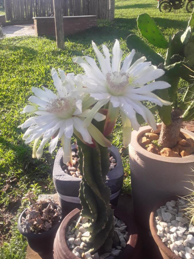 Recanto Das Flores Сан-Томе-дас-Летрас Экстерьер фото